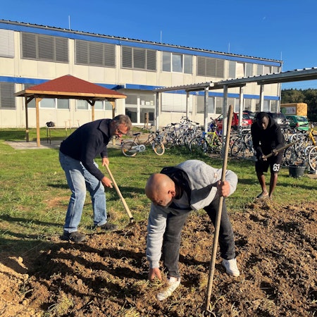 Gemeinsam legen Geflüchtete und Wachtberger Ehrenamtler in Villip ein Beet an.