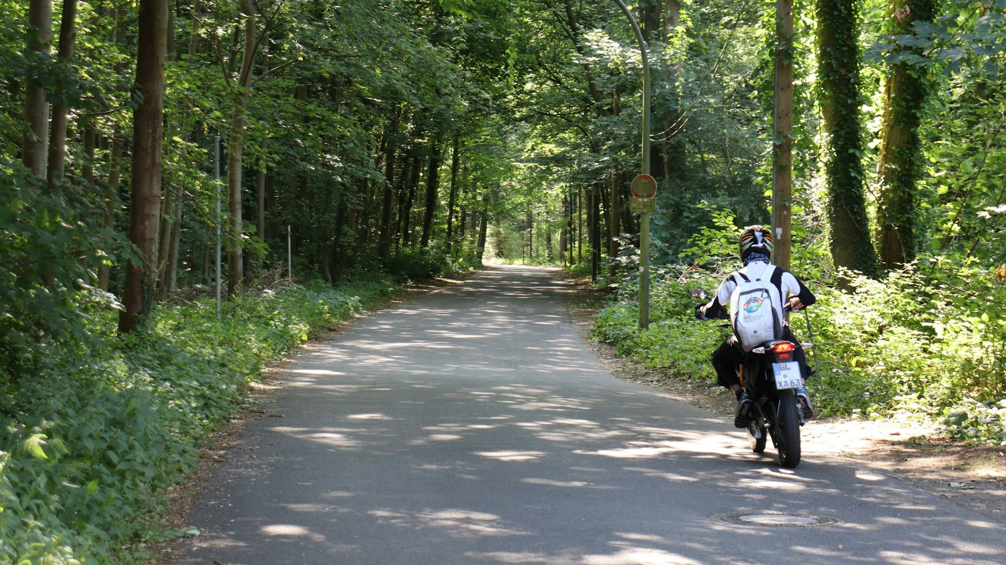 Ein Mofafahrer fährt auf einer Straße im Wald.