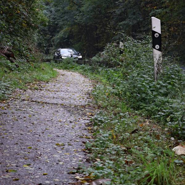 Das Foto zeigt den Radweg an der Berrenrather Straße in Frechen.