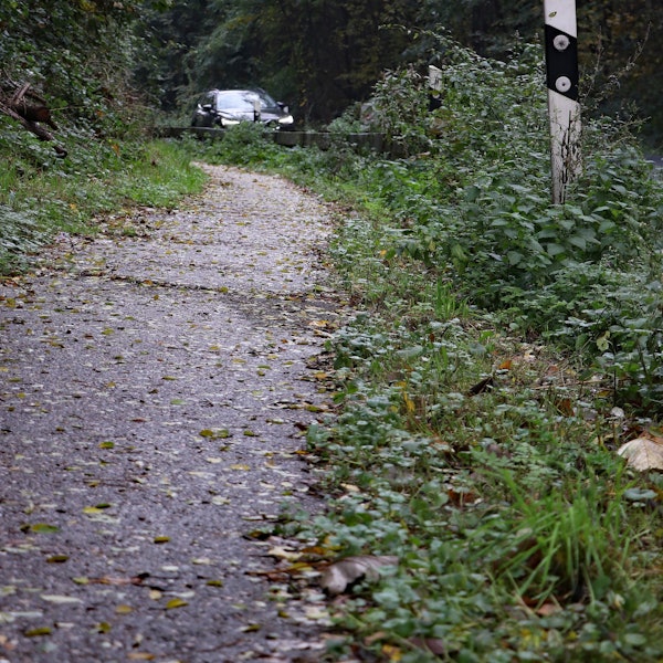 Das Foto zeigt den Radweg an der Berrenrather Straße in Frechen.