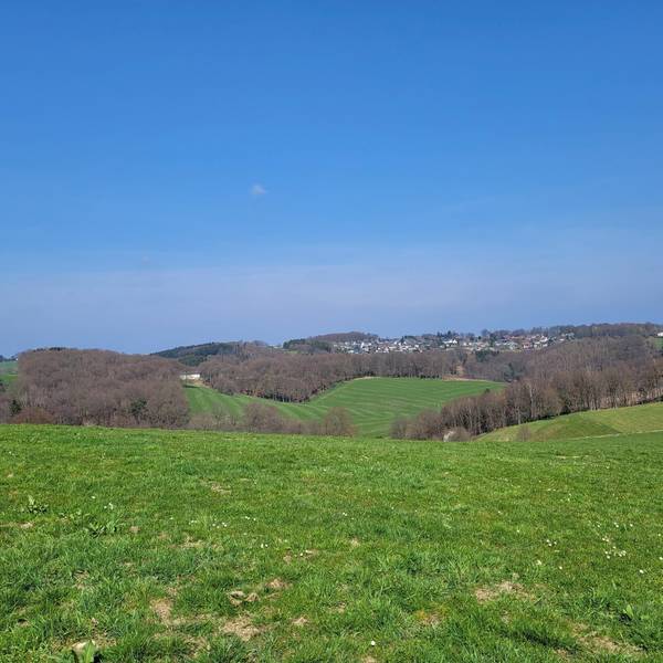 Das Foto zeigt eine Wiese bei Höchsten in Kürten