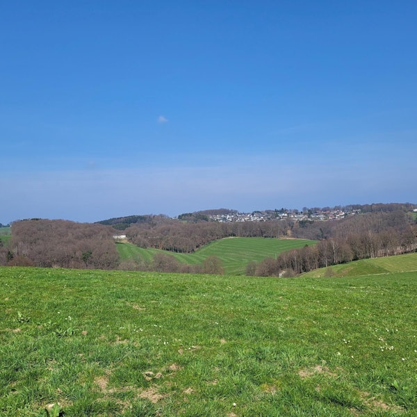 Das Foto zeigt eine Wiese bei Höchsten in Kürten
