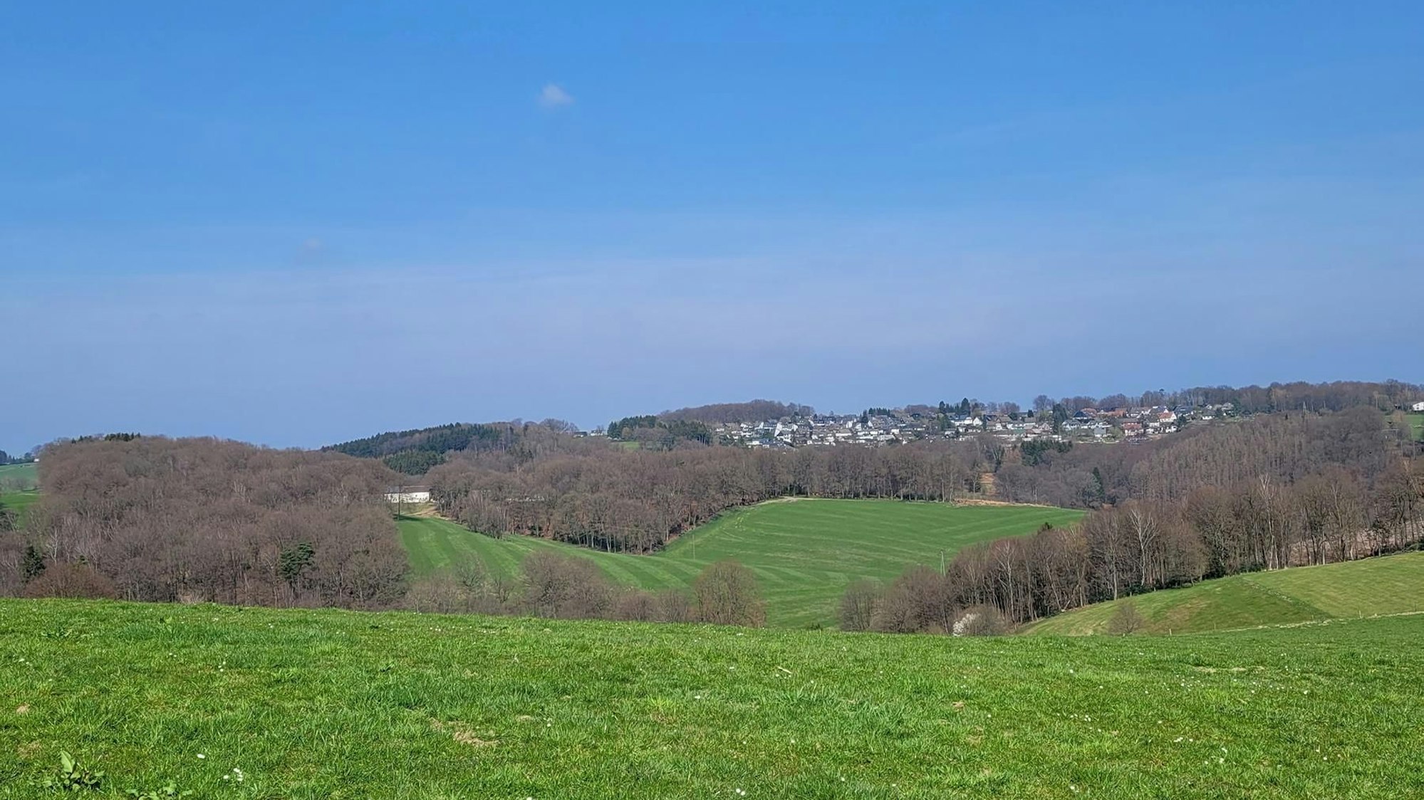 Das Foto zeigt eine Wiese bei Höchsten in Kürten