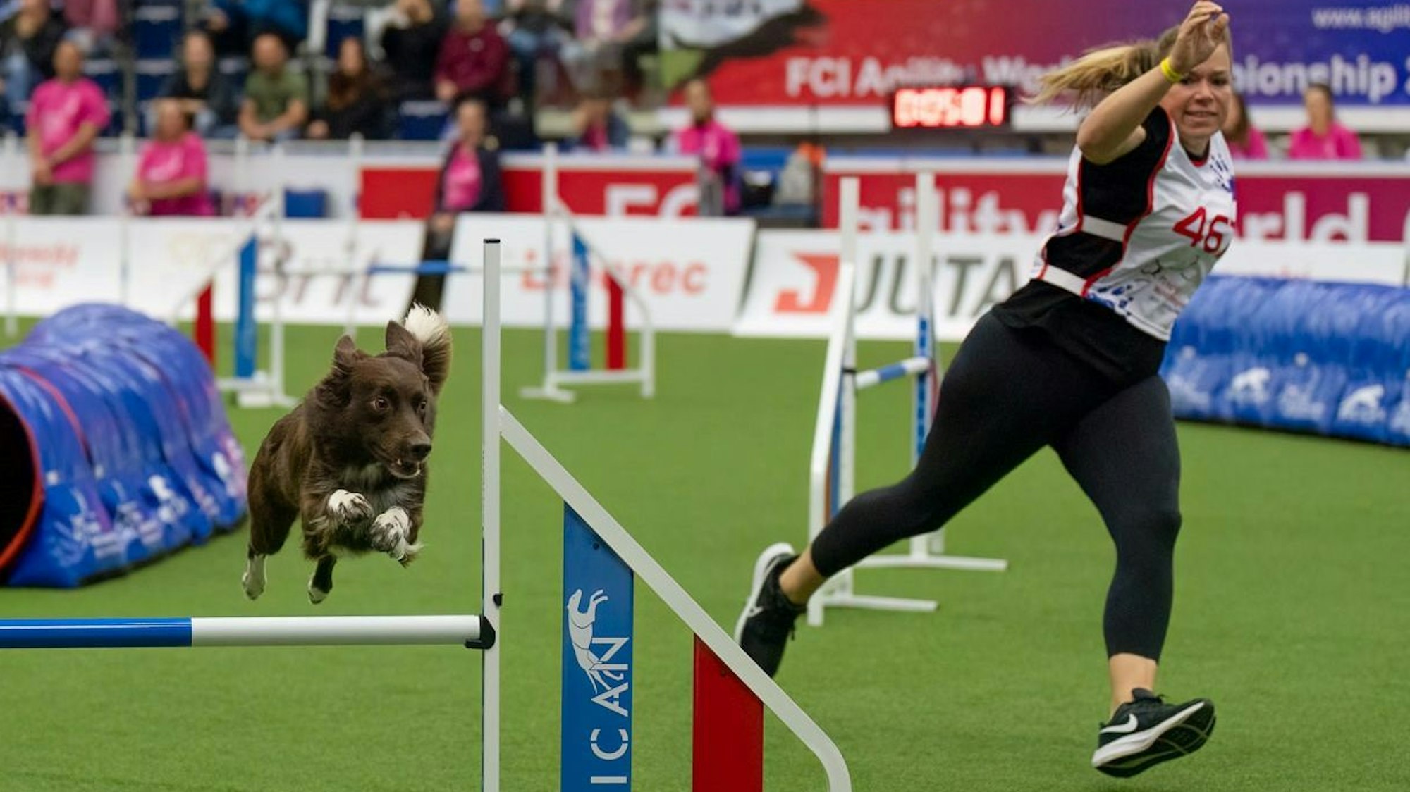 Mona Grefenstein bei der Agility-WM in Liberec. Ihre Hündin Sea springt über ein Hindernis.