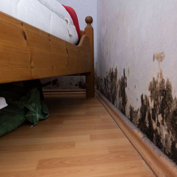 Schwarze Schimmelflecken an der Wand.