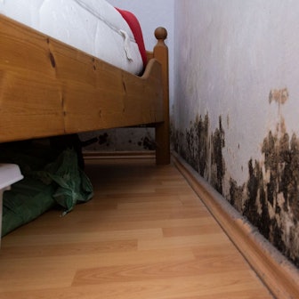 Schwarze Schimmelflecken an der Wand.