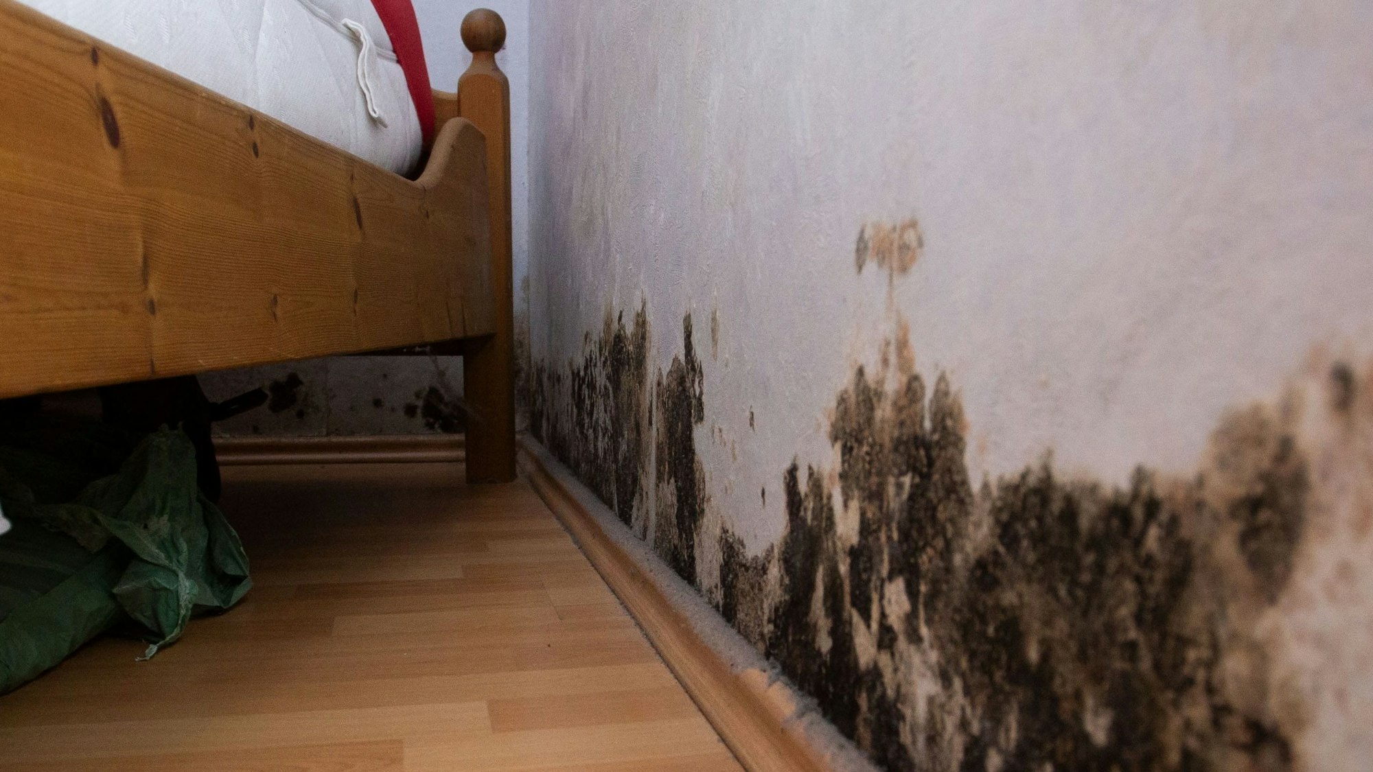 Schwarze Schimmelflecken an der Wand.