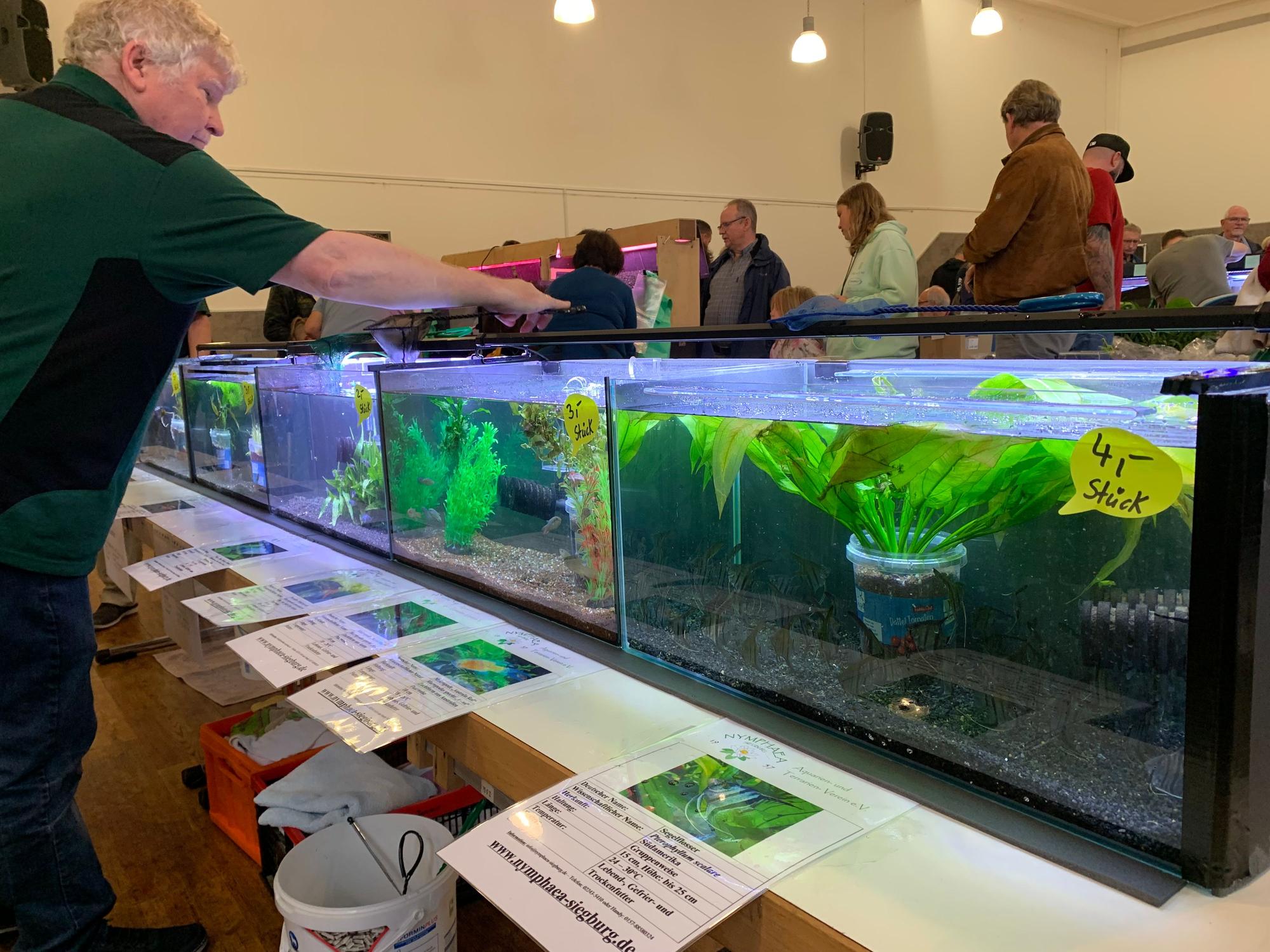 Aquarien-Börse des Aquarien- und Terrarien-Verein Nymphea-Siegburg.