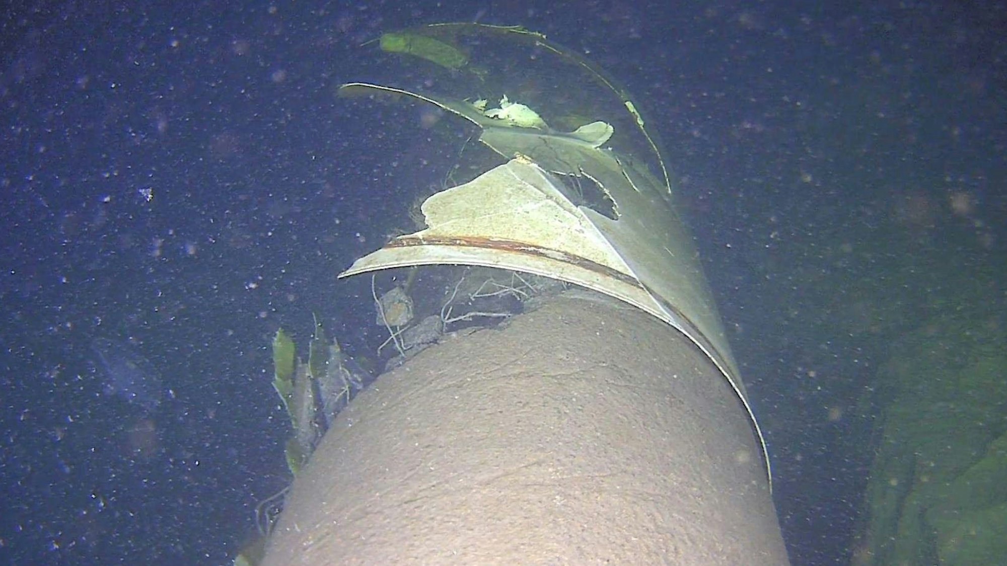 Die Gas-Pipeline Balticconnector zwischen Estland und Finnland nach einer Explosion auf dem Grund der Ostsee. Teile des Rohrs sind zerfetzt.