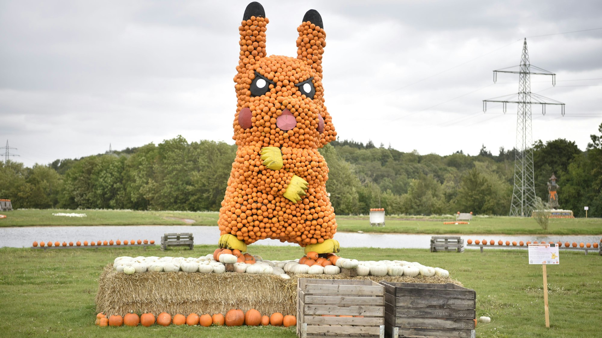 Bei der Kürbisschau in Obergartzem gibt es auch einen aus Kürbissen gebauten Pikachu zu sehen.