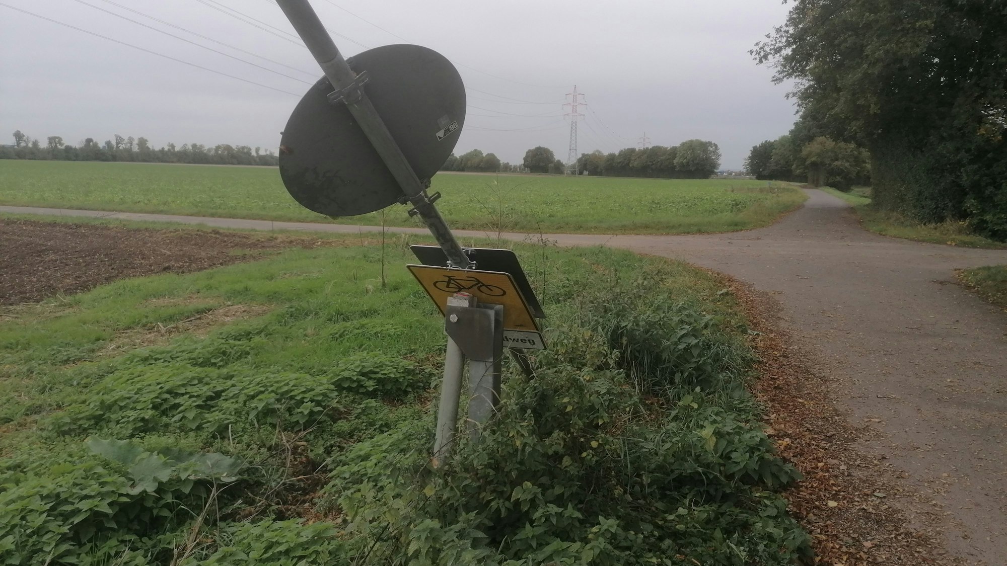 Ein Schild liegt schräg am Wegrand.