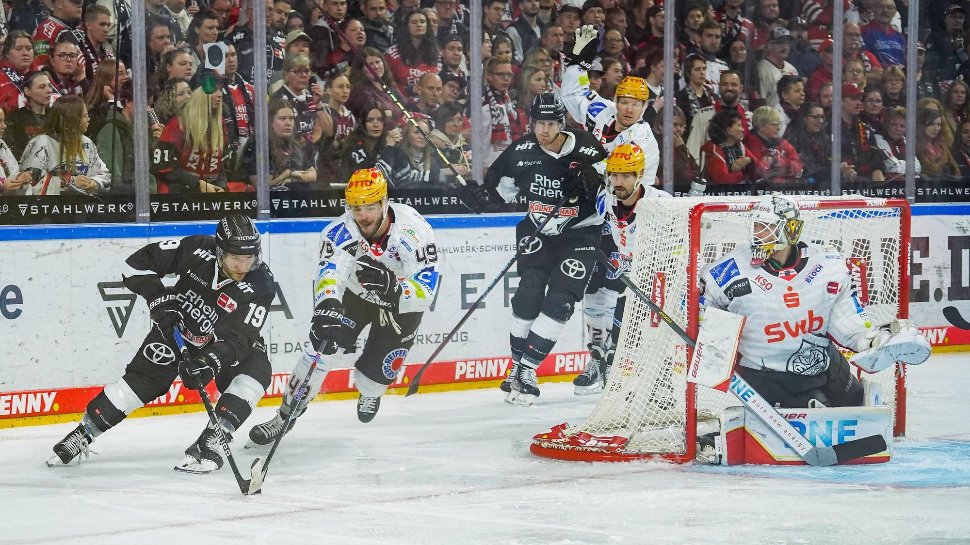 Eishockey Penny-DEL 16.Spieltag Kölner Haie - Pinguins Bremerhaven am 01.11.2023 in der Lanxess Arena in Köln v.l.n.r. , Frederik Storm Köln , Lukas Kälble Bremerhaven , Louis-Marc Aubry Köln , Kristers Gudlevskis Bremerhaven