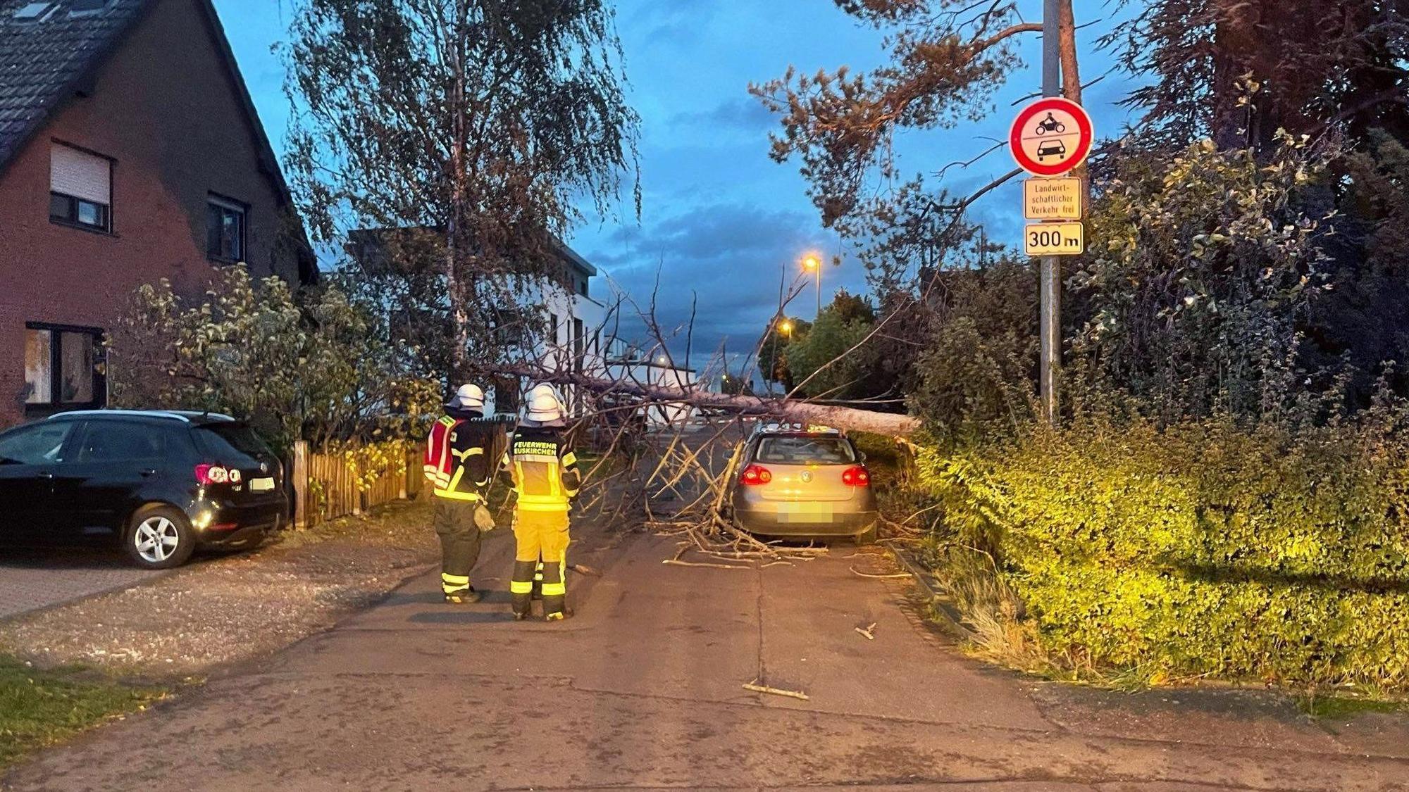Sturmtief „Emir“: In Euskirchen stürzte ein Baum auf ein Auto, die Feuerwehr war im Einsatz.