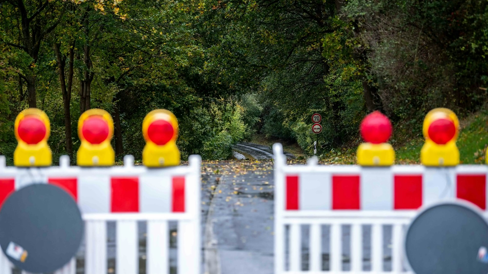 Zwischen zwei Warnbaken ist eine regennasse und mit Laub bedeckte Straße zu erkennen, ringsherum stehen Bäume.
