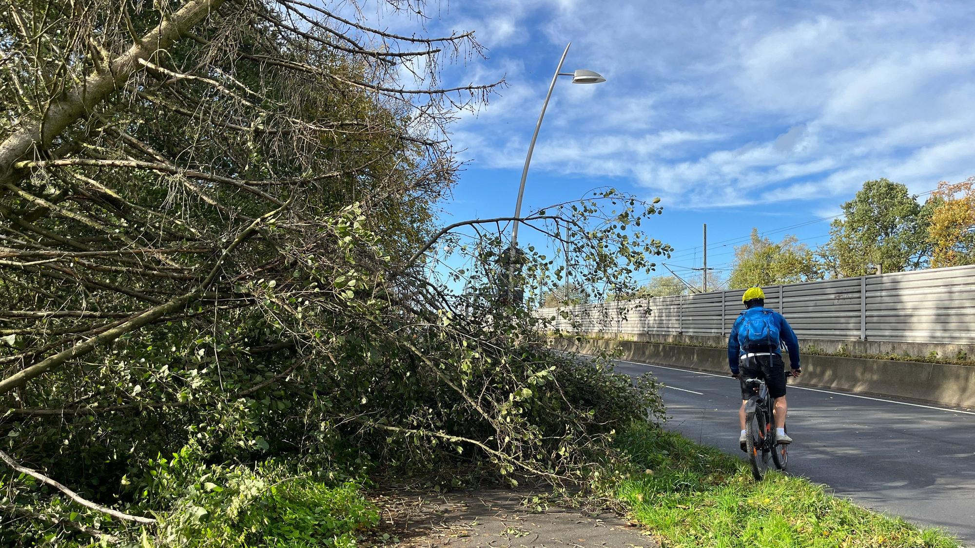 Sturm Ciaran oder Tief Emir hat am Donnerstagmorgen den Kreis erreicht, die Feuerwehren hatten bis zum Nachmittag 130 Einsätze. Am Willy-Brandt-Ring in Troisdorf war der Radweg.