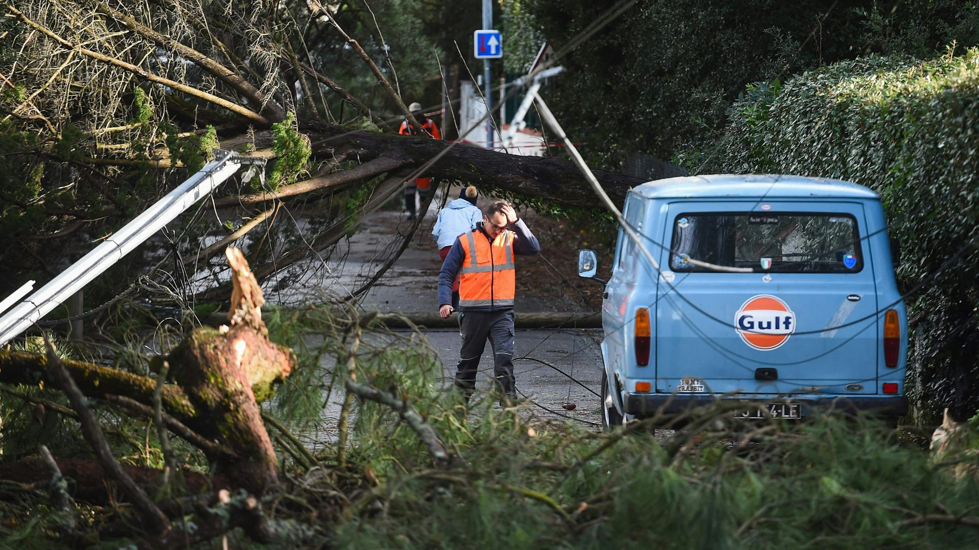 Umgestürzte Bäume im französischen La Baule-les-Pins.