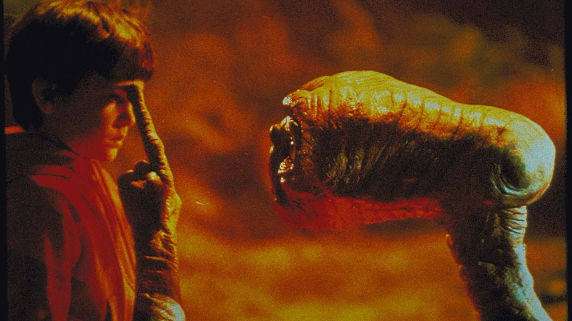 Musste im Film von Regisseur Steven Spielberg bei Experimenten leiden: der Außerirdische E.T.