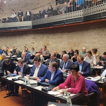 Das Foto zeigt den Stadtrat, der am Dienstag (31. Oktober) über das Klimakonzept abstimmte.