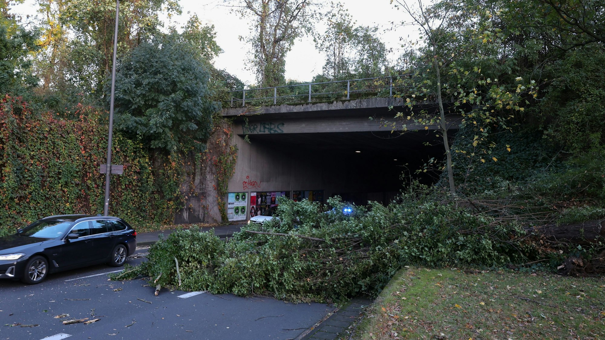 An der Unterführung am Kölner Mediapark ist durch Sturmtief „Emir“ auch ein Baum umgestürzt.