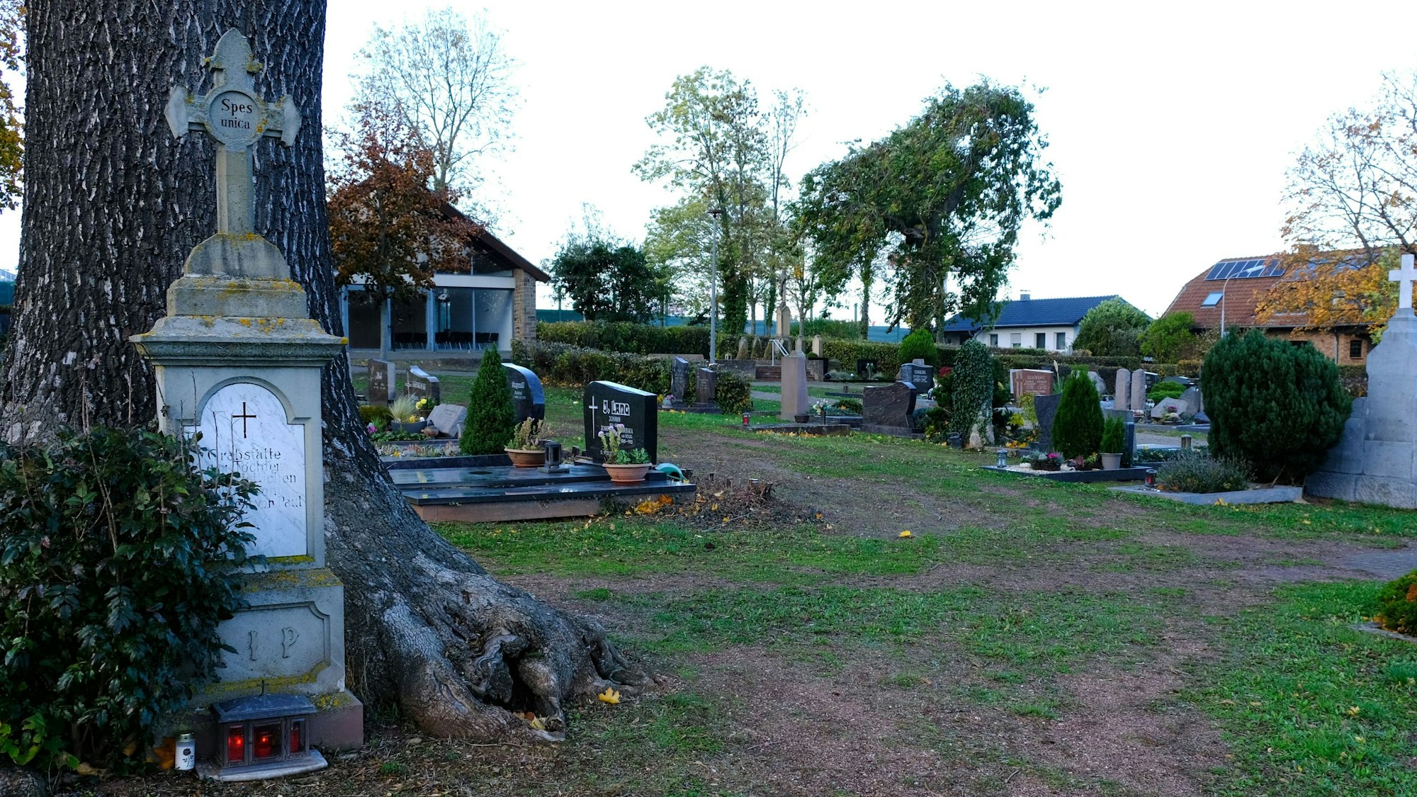 Blick auf den Friedhof in Kommern. Vor einem großen Baum steht ein altes Grabmal.