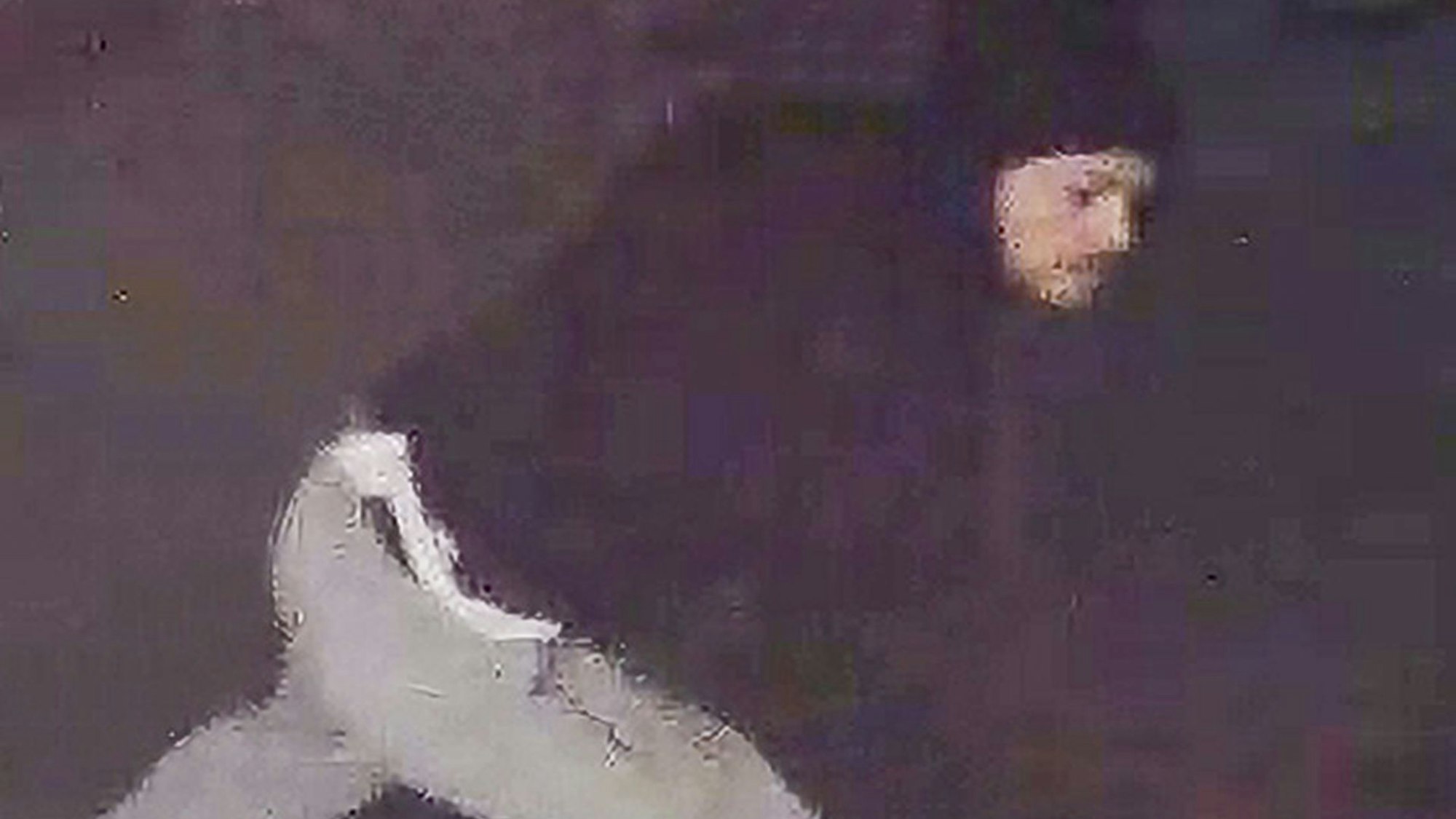 Unter anderem nach diesem Mann wird gefahndet.