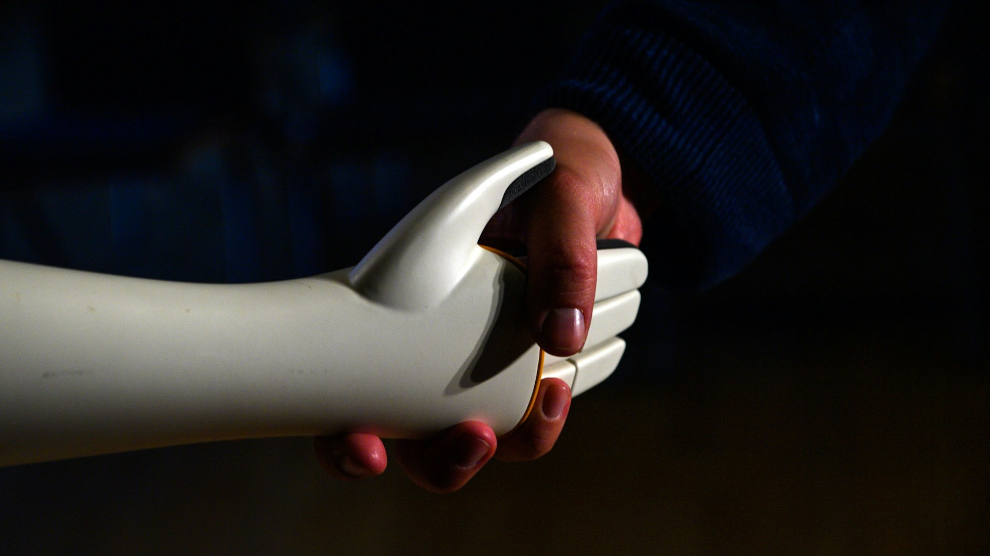 ARCHIV - 26.10.2023, --: Eine menschliche Hand greift die Hand eines humanoiden Roboters.