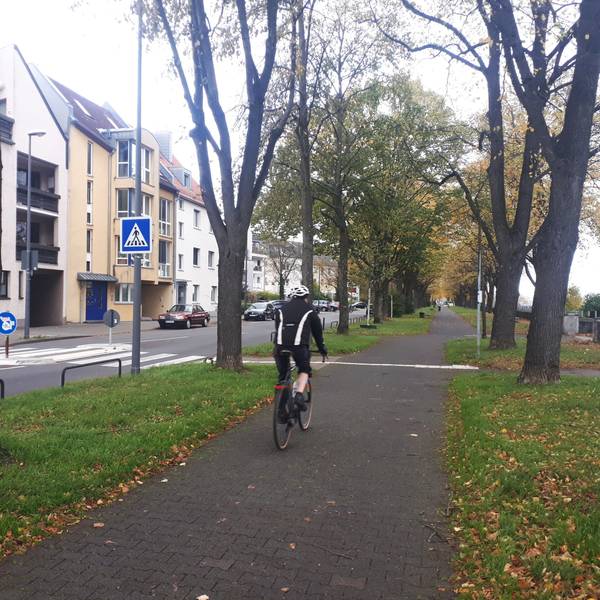 Ein Fahrradfahrer fährt auf dem Rheinufer