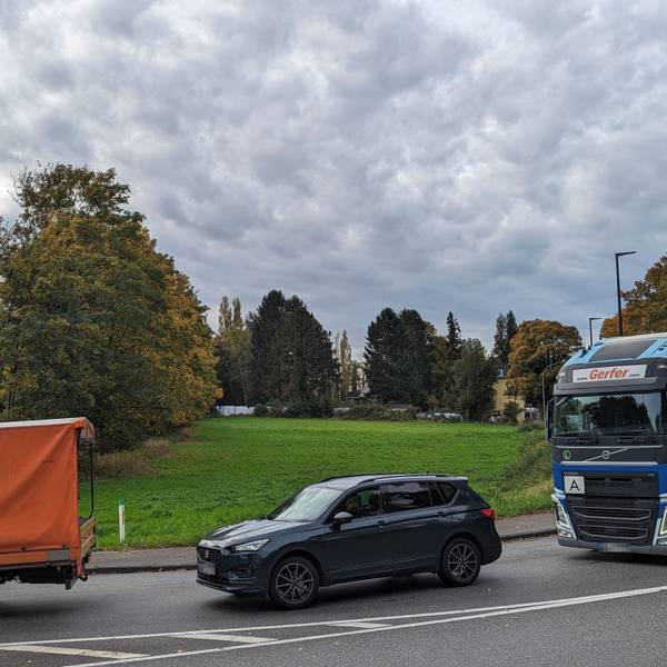 Autos und Transporter fahren an einer Wiese über eine stark befahrene Straße.