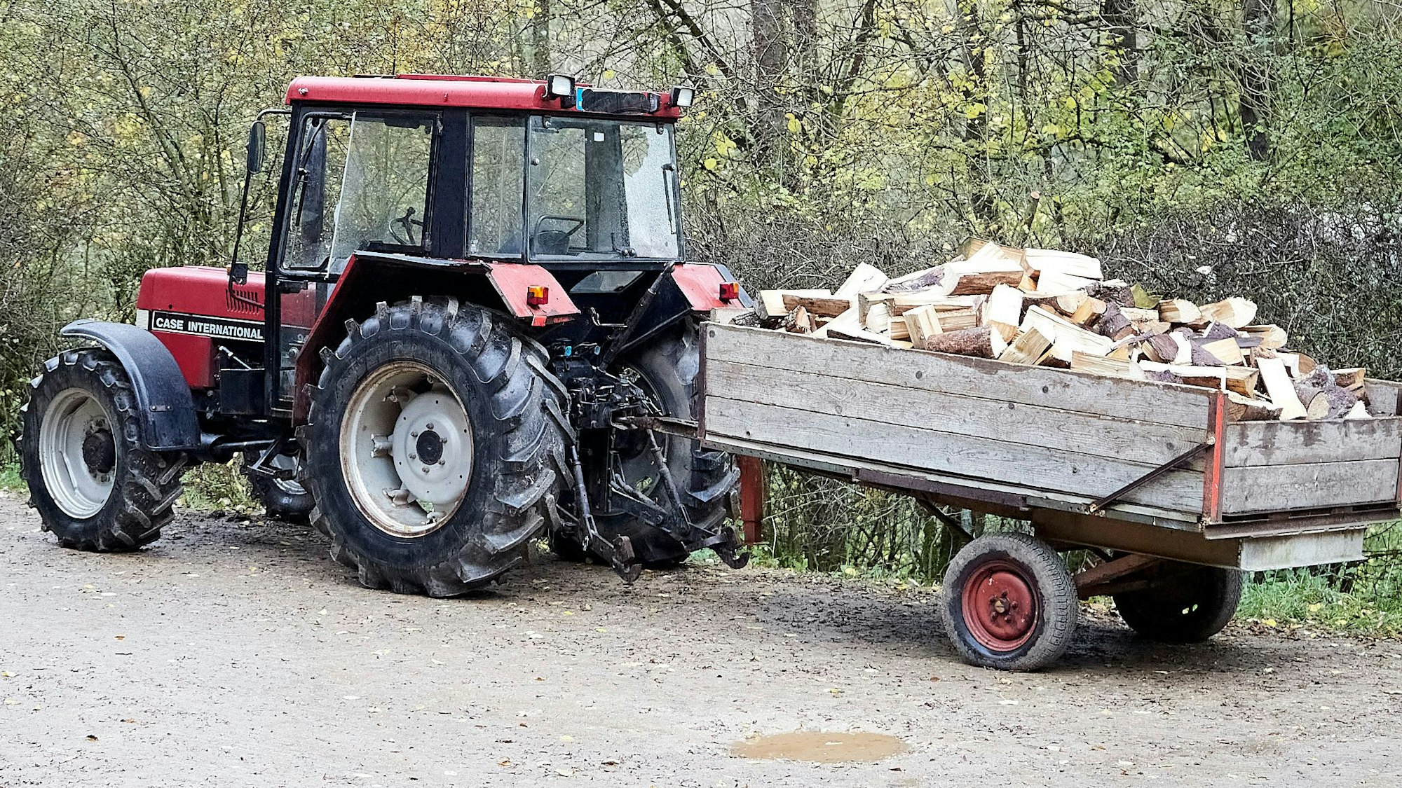 Das Bild zeigt einen roten Traktor, an den ein Anhänger angekuppelt ist. Auf dem ist Holz verladen.