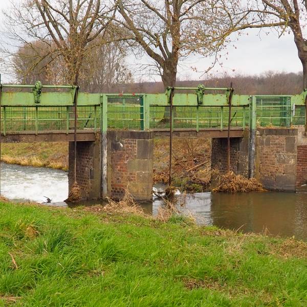 Ein Fluss mit schnurgeraden Ufern fließt durch ein Wehr.
