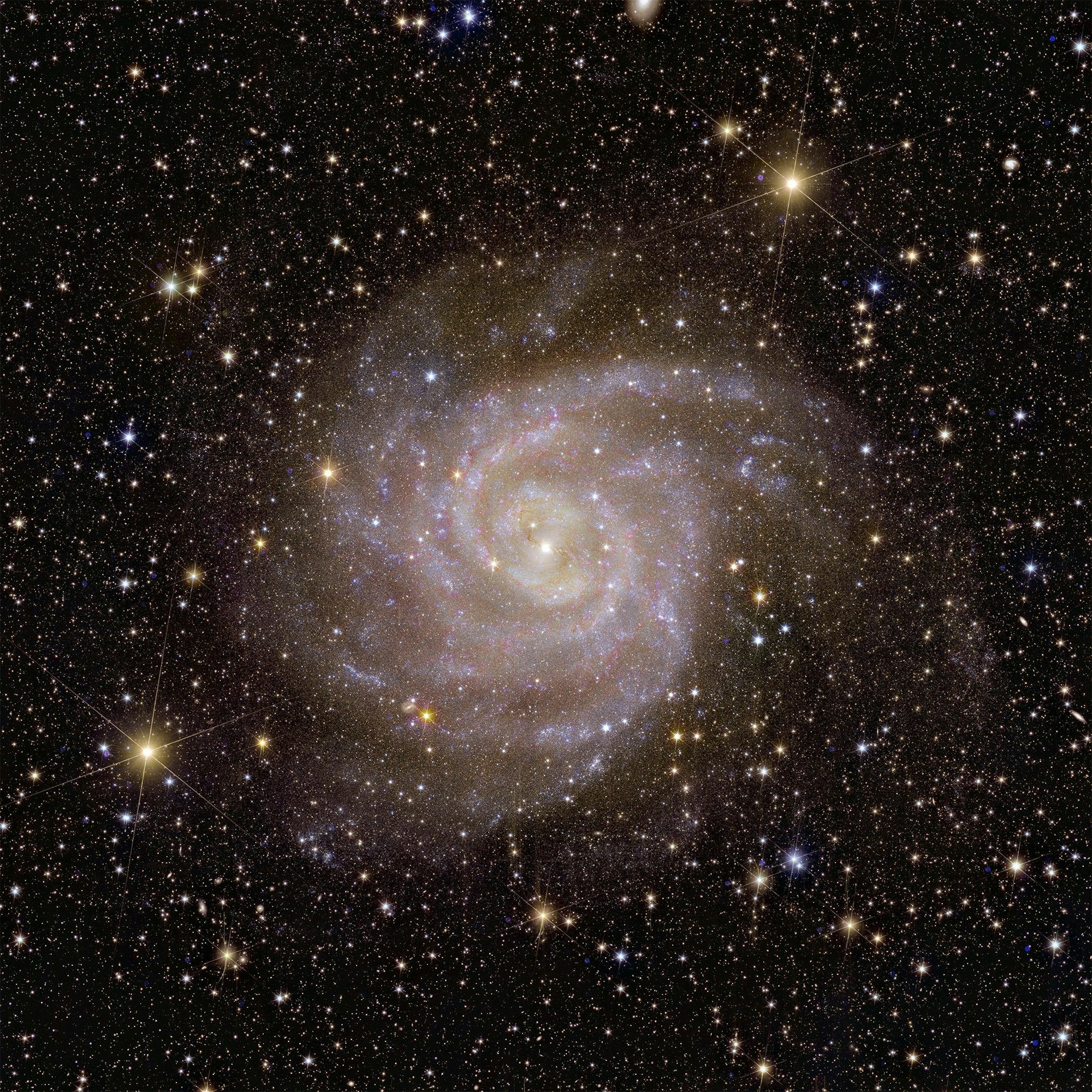 Eine Aufnahme der europäischen Sonde «Euclid» zeigt die Spiralgalaxie IC 342 oder Caldwell 5.