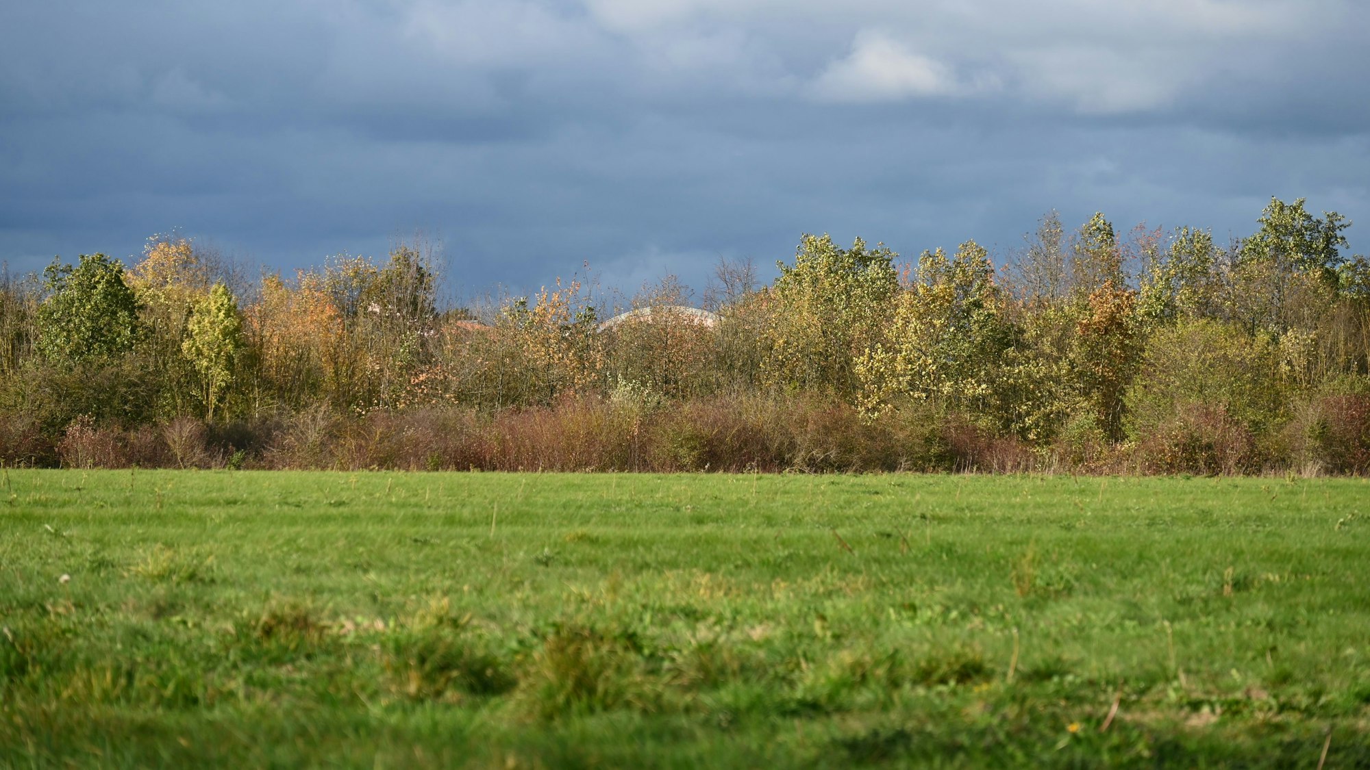 Im Vordergrund sieht man einen Acker, hinter Bäumen das Dach der Waldorfschule.
