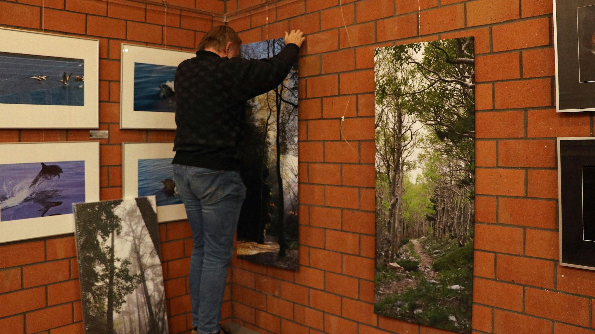 Ein Mann mit dem Rücken zur Kamera hängt großformatige Fotos auf.