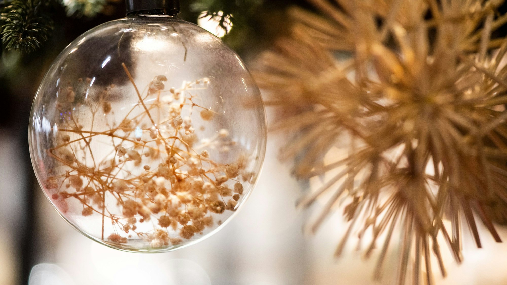 Nicht nur ausgefallene Dekorationen, auch andere Ideen der Gastronomie sind willkommen.