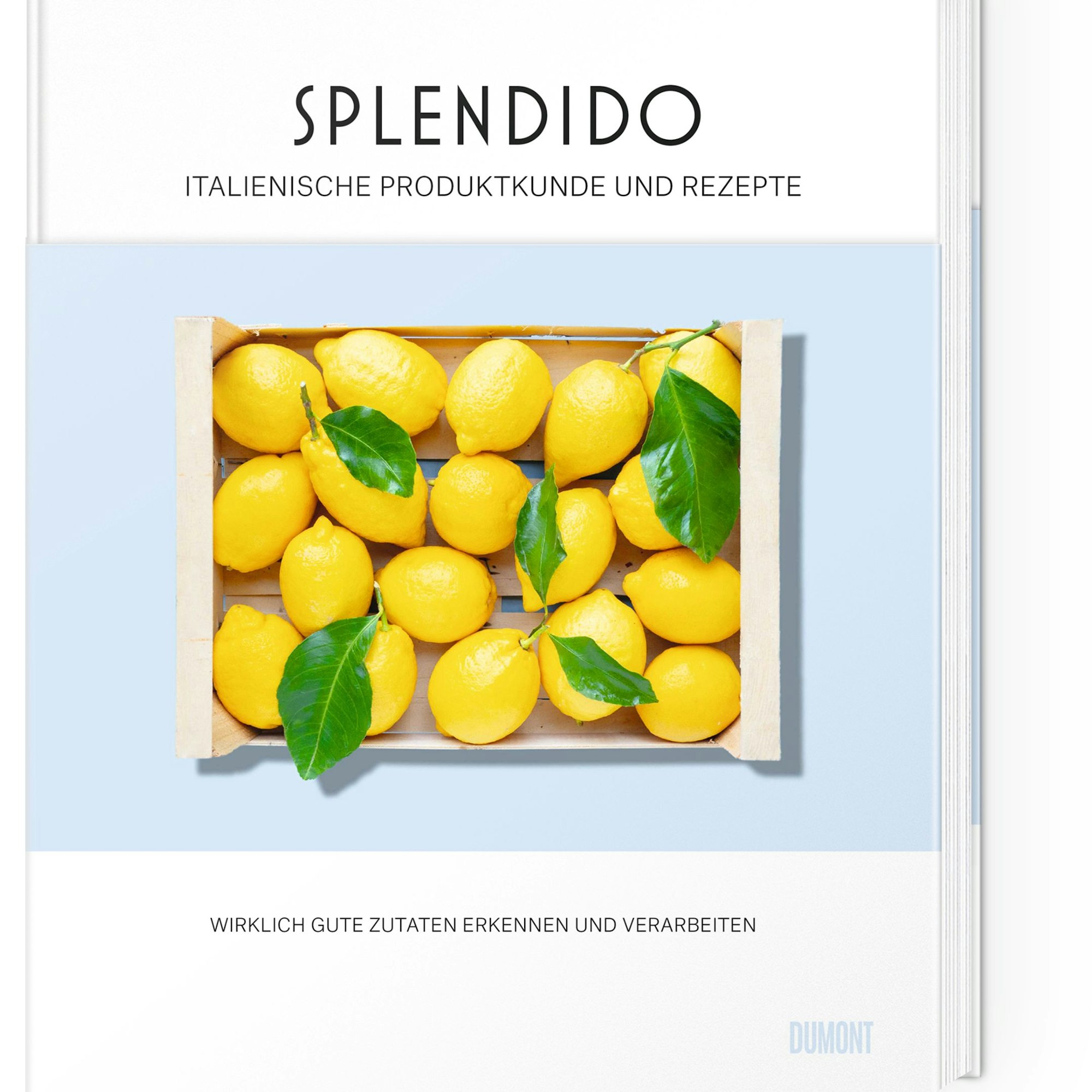 Cover des italienischen Kochbuchs Splendido