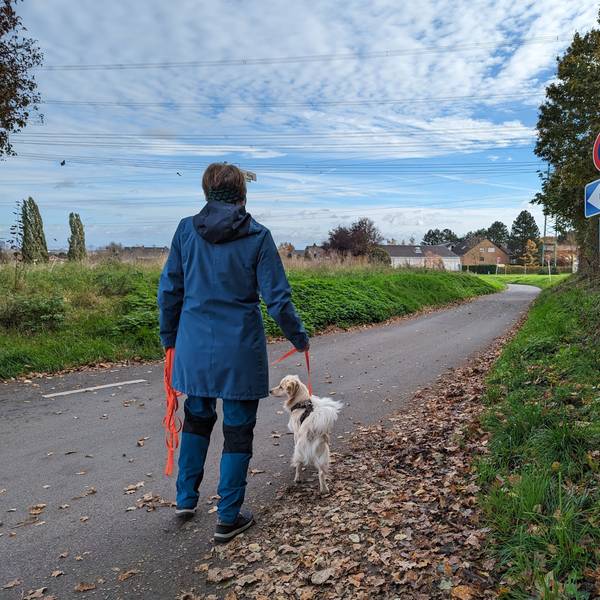 Eine Spaziergängerin mit Hund geht über eine Straße an einem Einbahnstraßenschild vorbei.