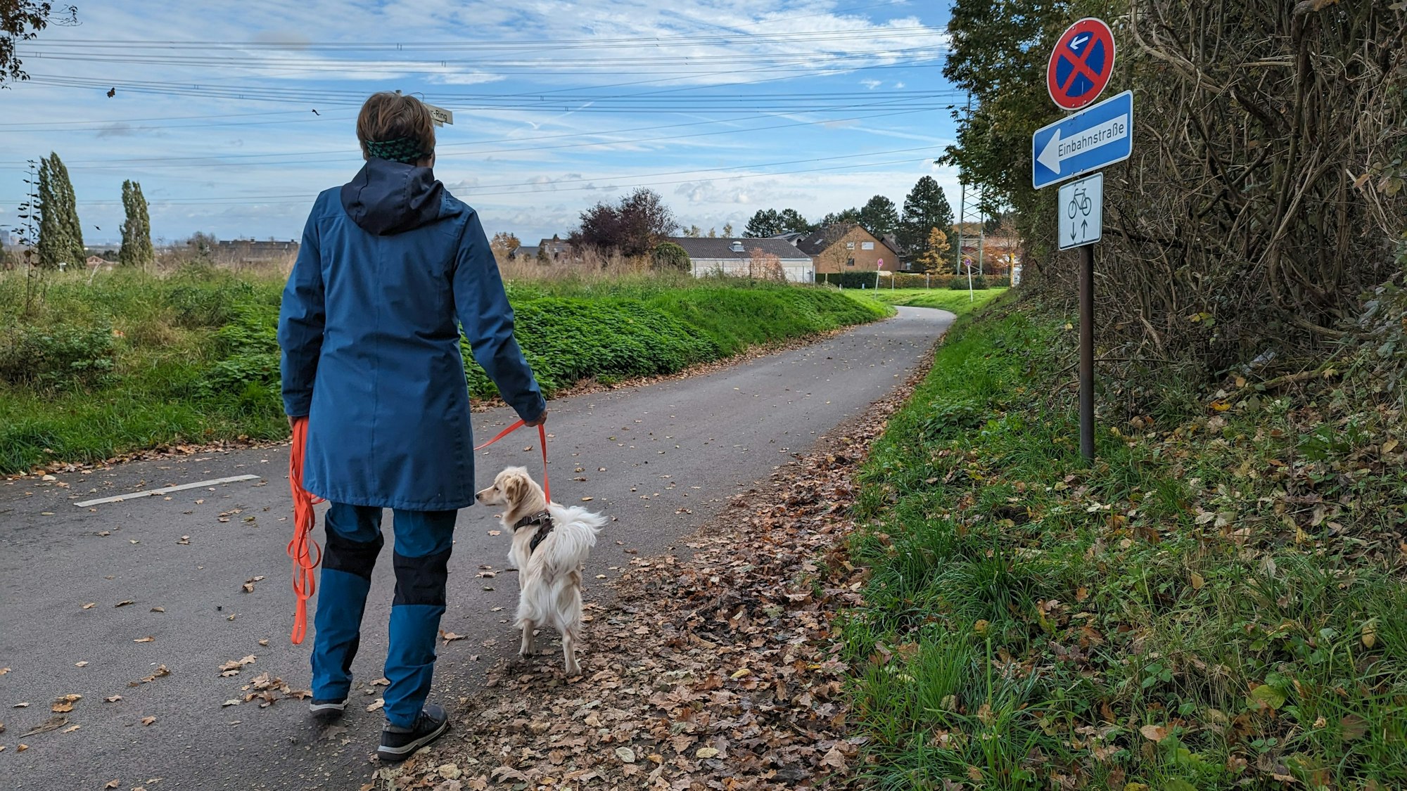 Eine Spaziergängerin mit Hund geht über eine Straße an einem Einbahnstraßenschild vorbei.
