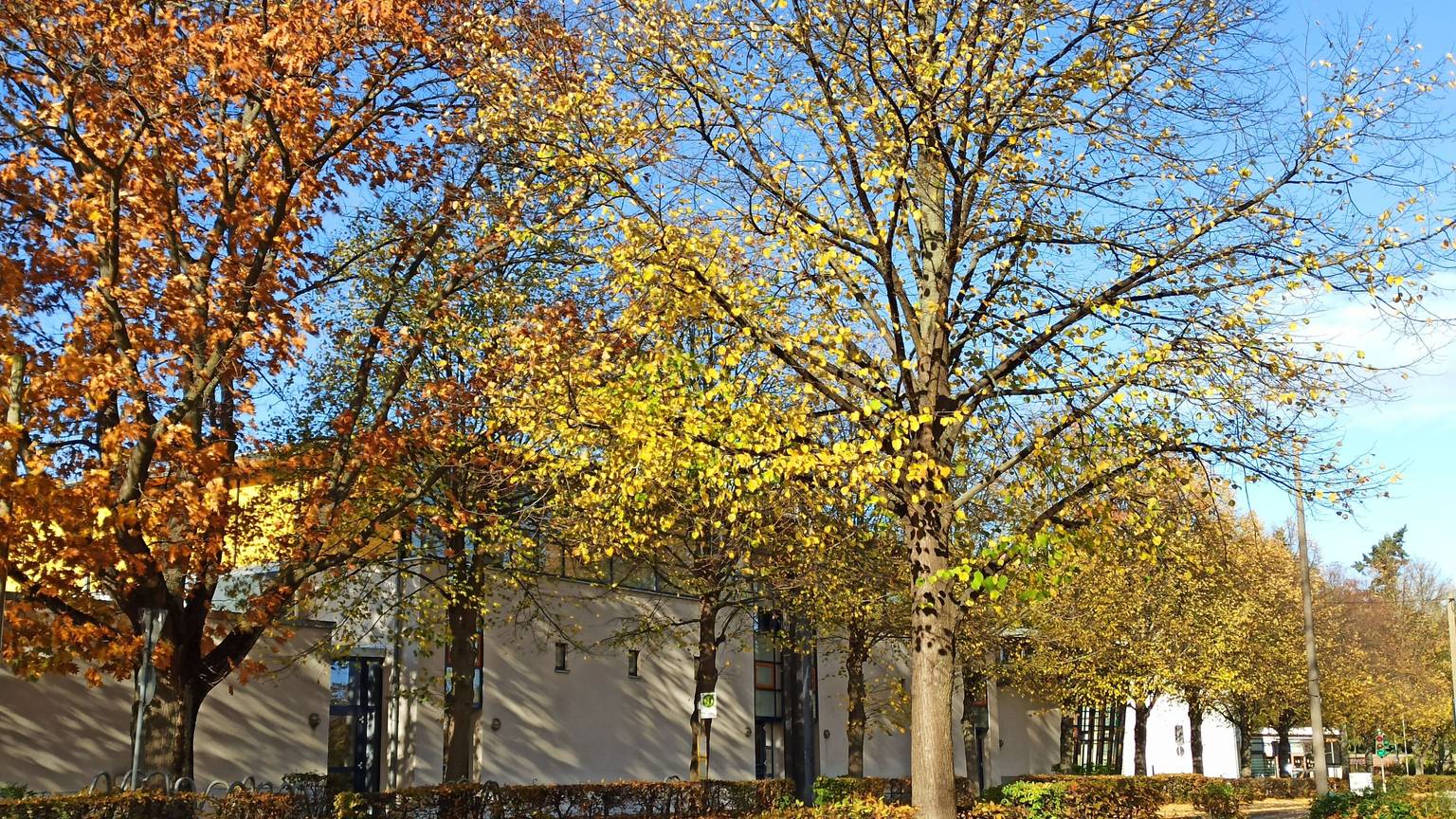 Bornheim, alte Turnhalle der Johann-Wallraf-Schule, demnächst wieder Notunterkunft
