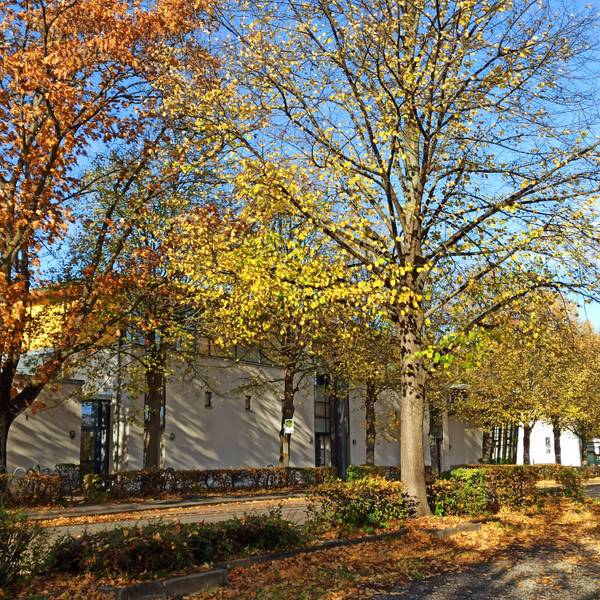 Bornheim, alte Turnhalle der Johann-Wallraf-Schule, demnächst wieder Notunterkunft