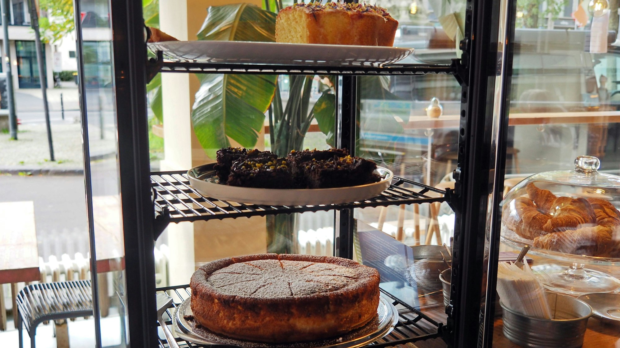 Zu sehen ist das Kuchensortiment des Cafés Boxenstopp am Waidmarkt