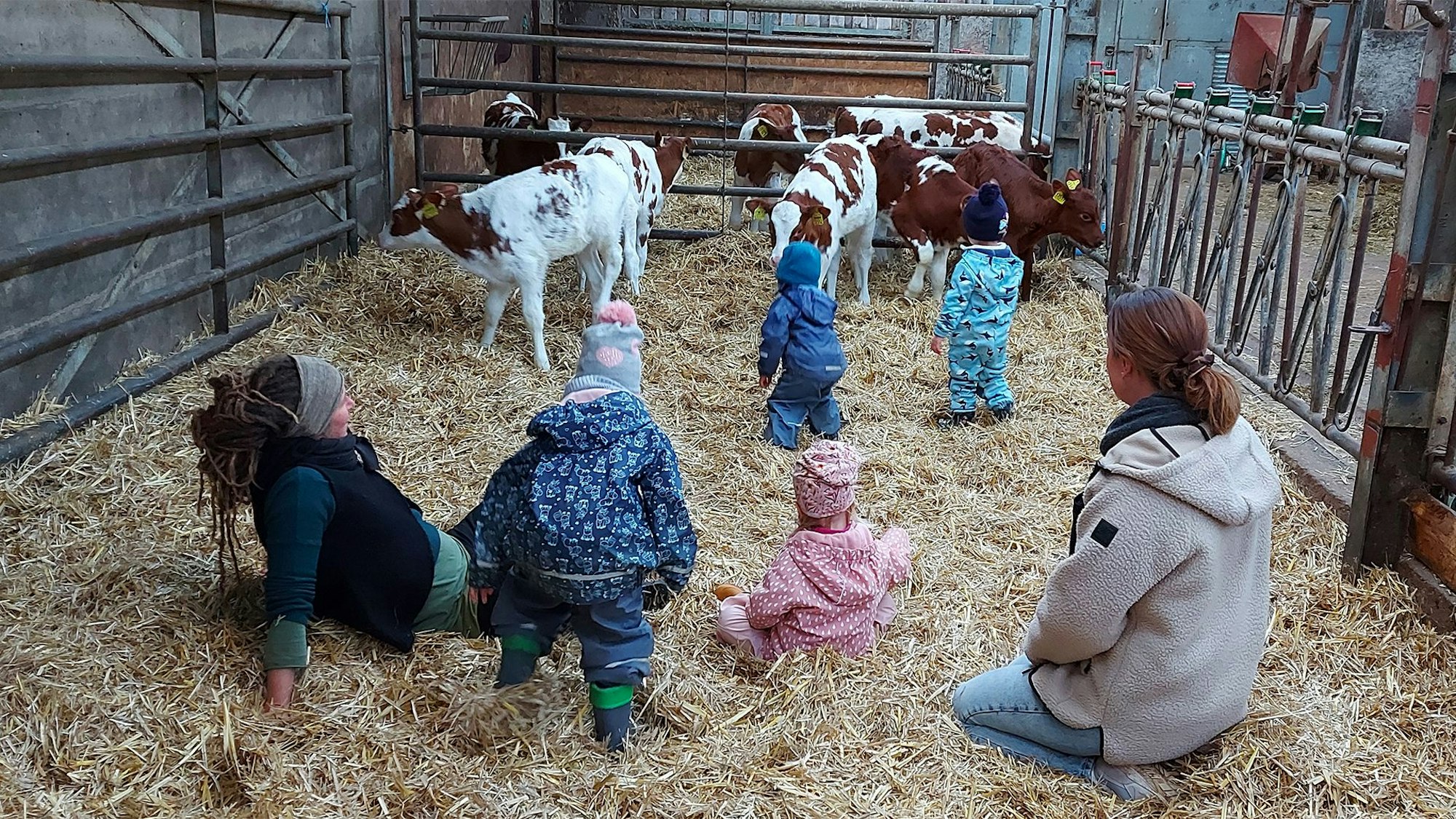 Mit zwei Betreuerinnen sitzen die Kinder im Stroh des Kälberstalls, in dem sich auch fünf Kälber aufhalten.