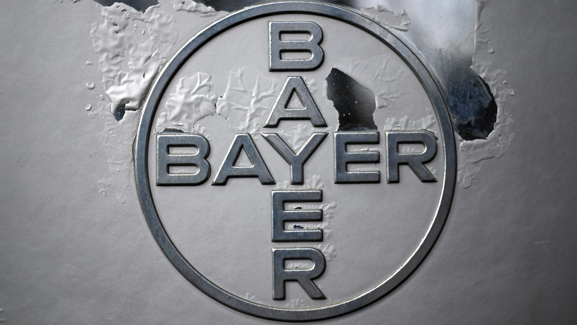 Das Logo von Bayer