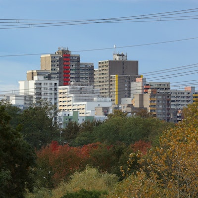 Hochhäuser in Chorweiler mit herbstlich gefärbten Laub im Vordergrund.