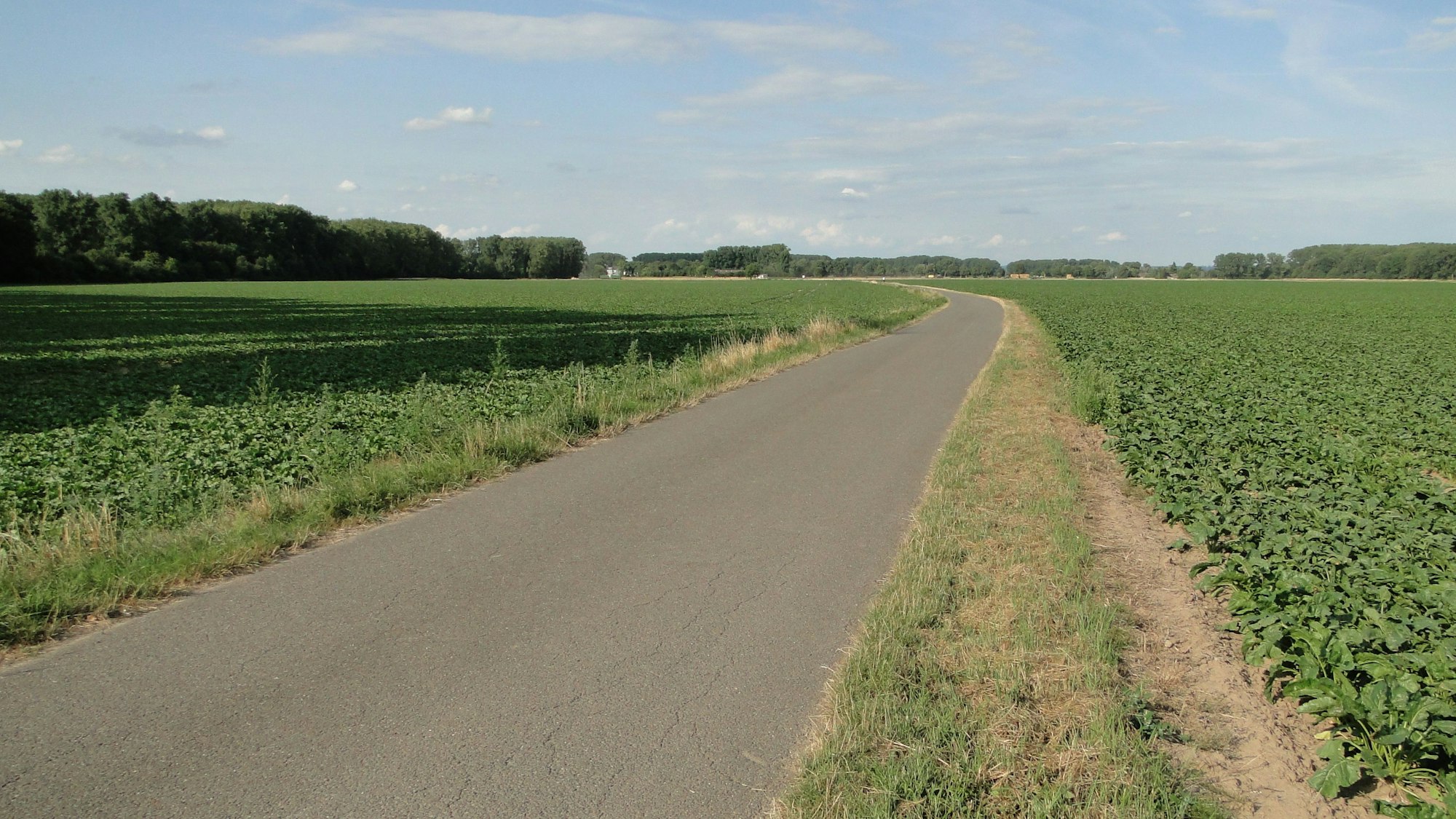 Ein Feldweg