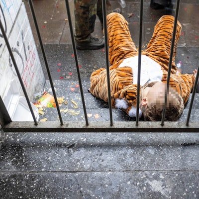 Erlegter Tiger: Für diesen jungen Mann war der Elfte Elfte alkoholbedingt bereits gegen 11.30 Uhr beendet.