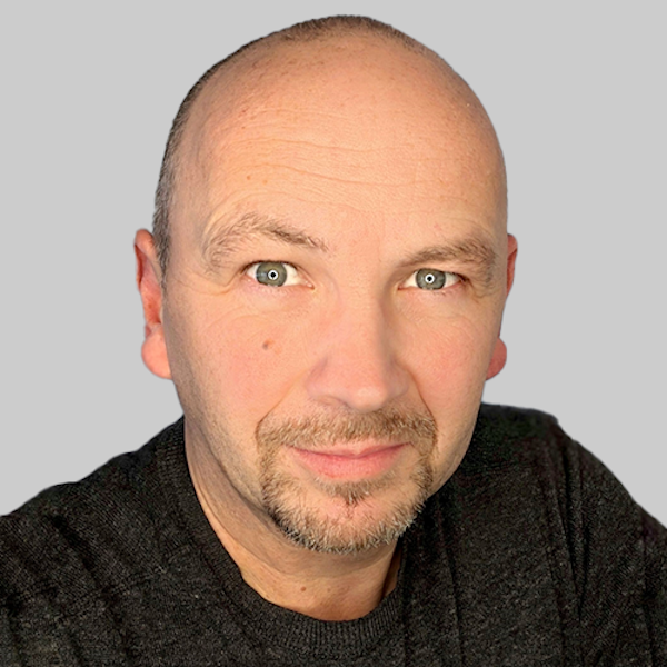 Ein Eisvogel sitzt auf einem Ast.