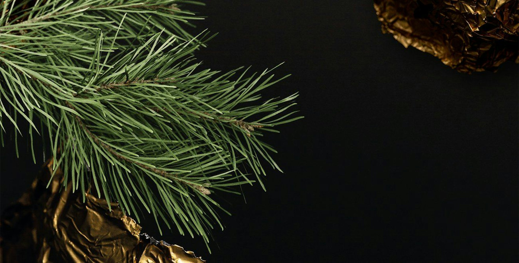 Weihnachtliche Philharmonie