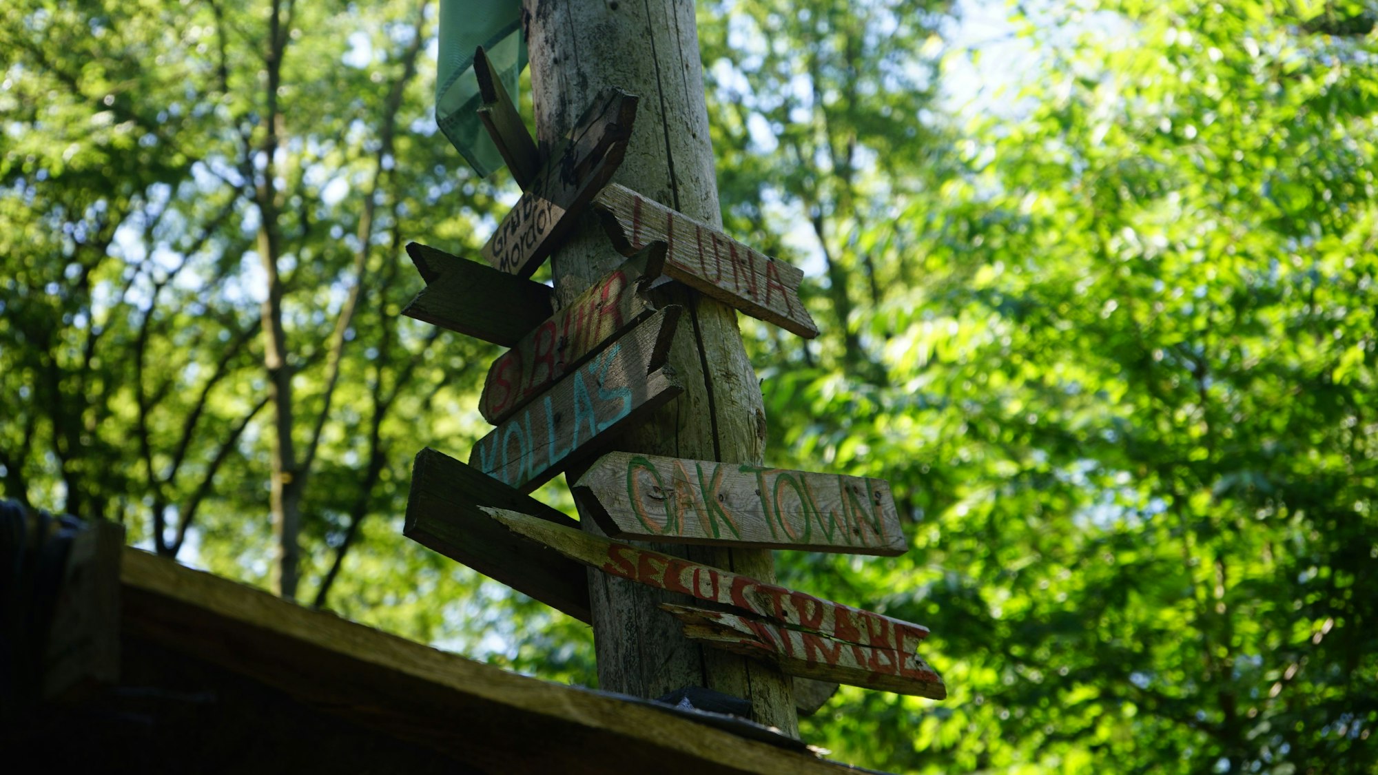 Das Bild zeigt einen Mast mit Schildern im Hambacher Forst.