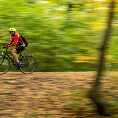 Ein Radfahrer fährt auf seinem Fahrrad durch einen Wald.