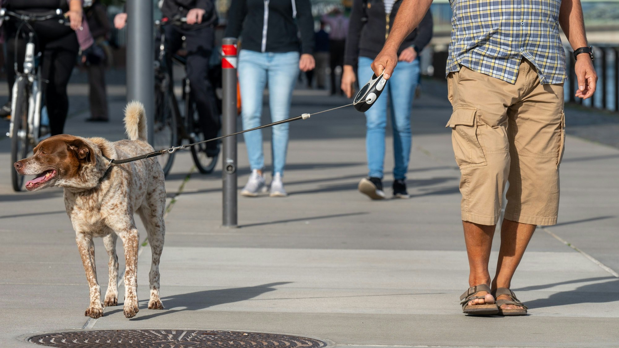Menschen spazieren in Shorts und T-Shirt am Rhein.